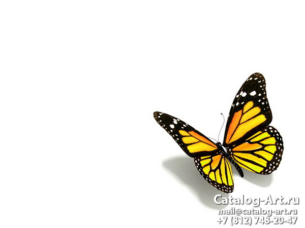  Butterflies 79